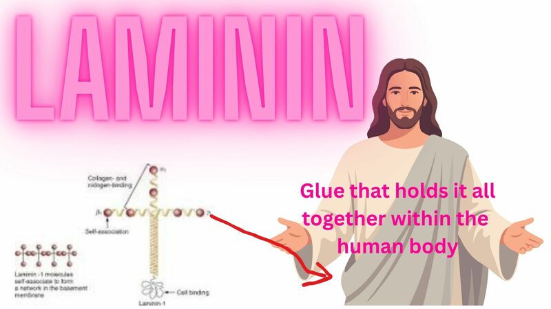 Book of Revelation Episode 2 Chapter 2a