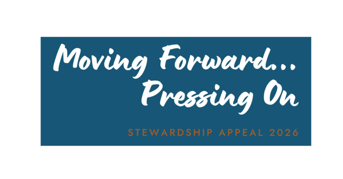 Stewardship E-News