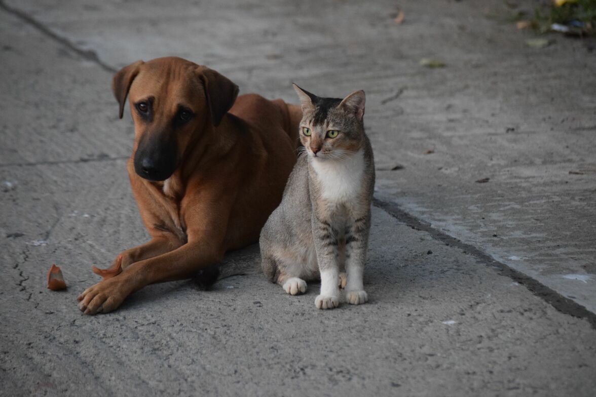 Slideshow image