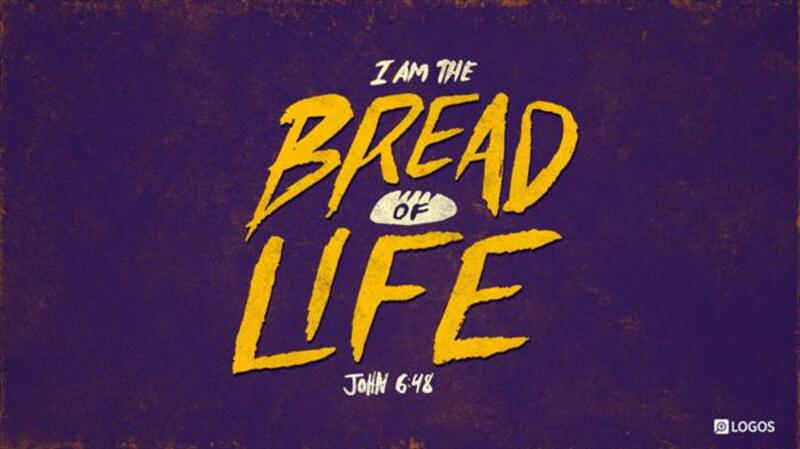 John 6