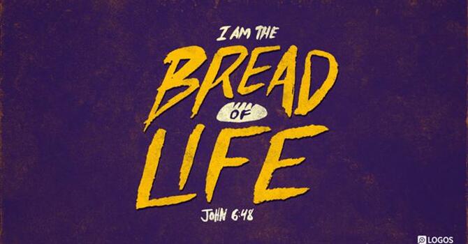 John 6