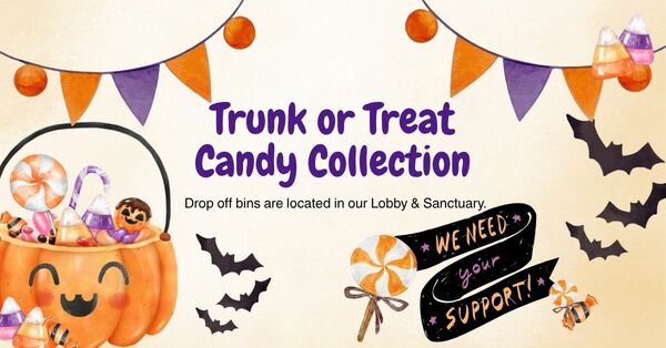 Trunk or Treat Candy 