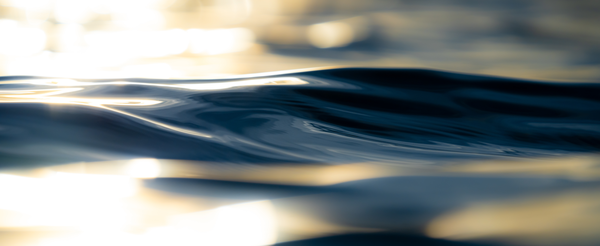 Soul Reflections