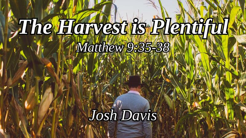 The Harvest is Plentiful