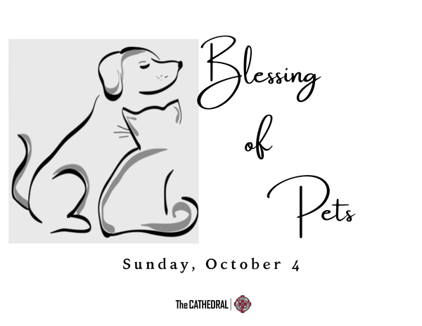 Blessing of Pets