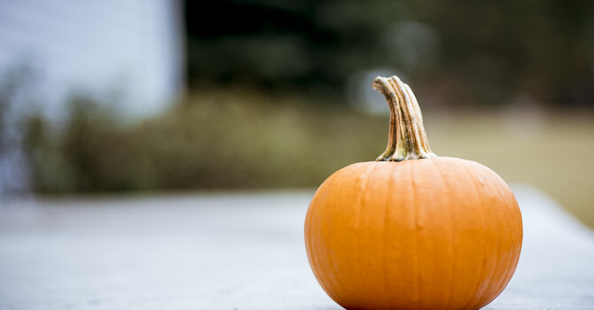Harvest Sunday decorating