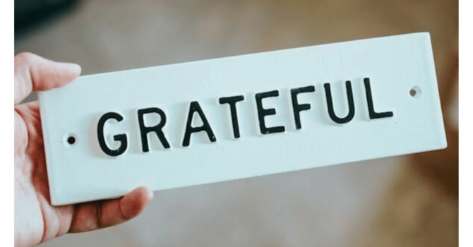 Gratitude from Eden image