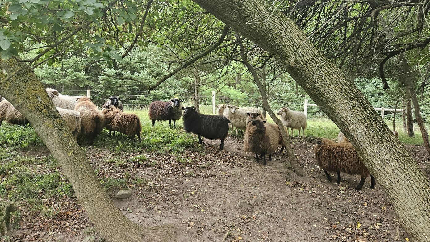 Slideshow image