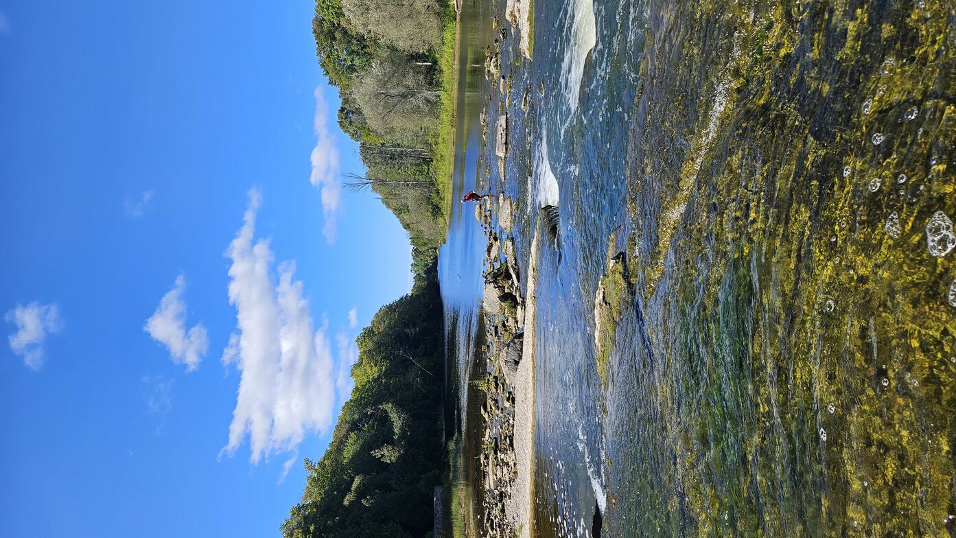 Slideshow image