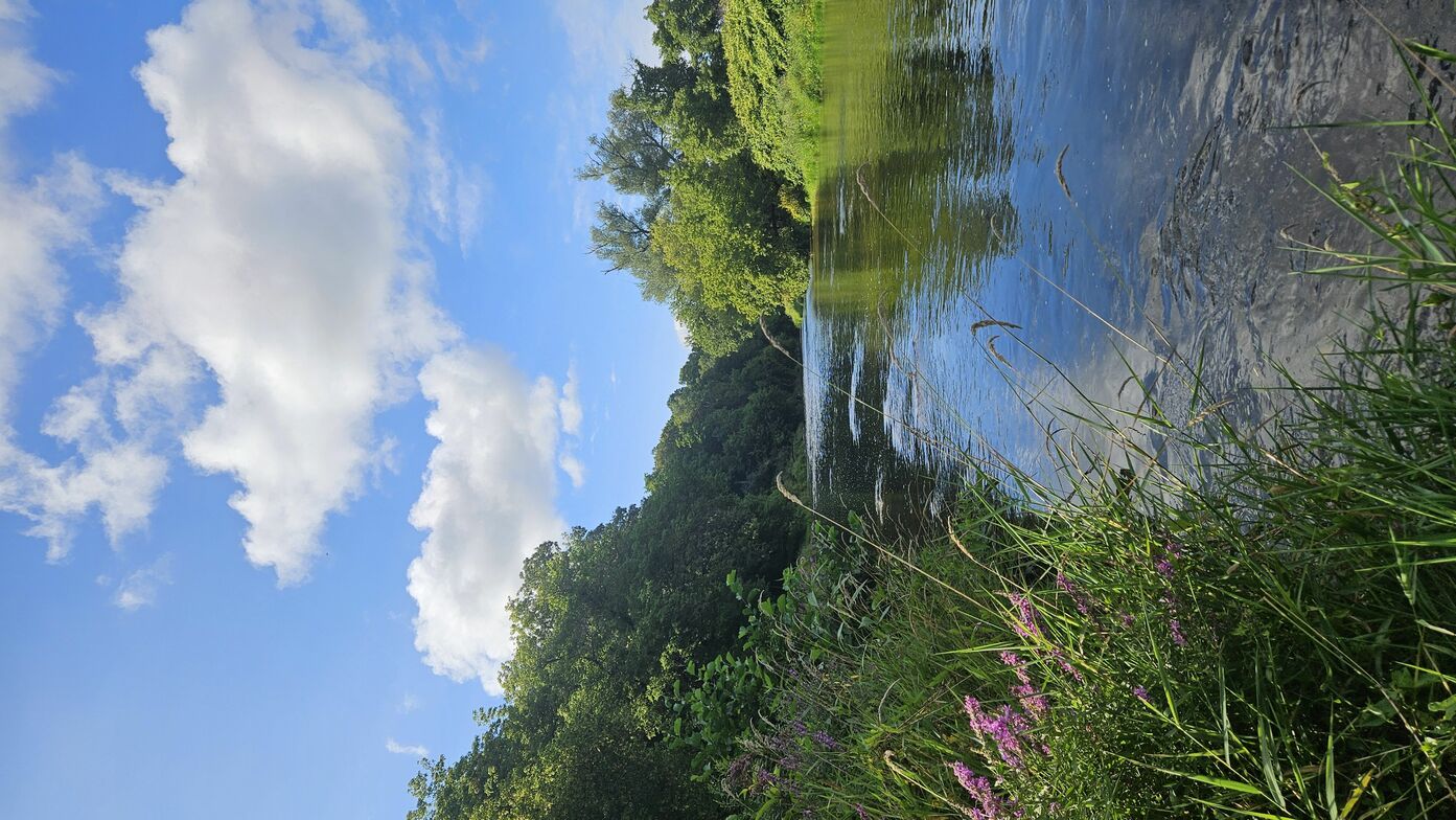 Slideshow image