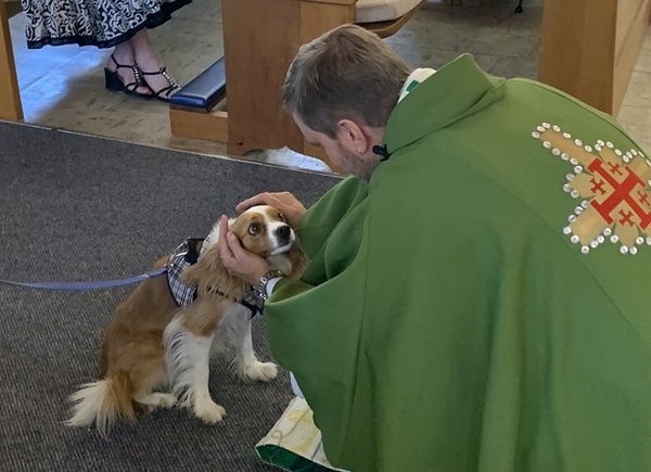 Blessing of Animals Service