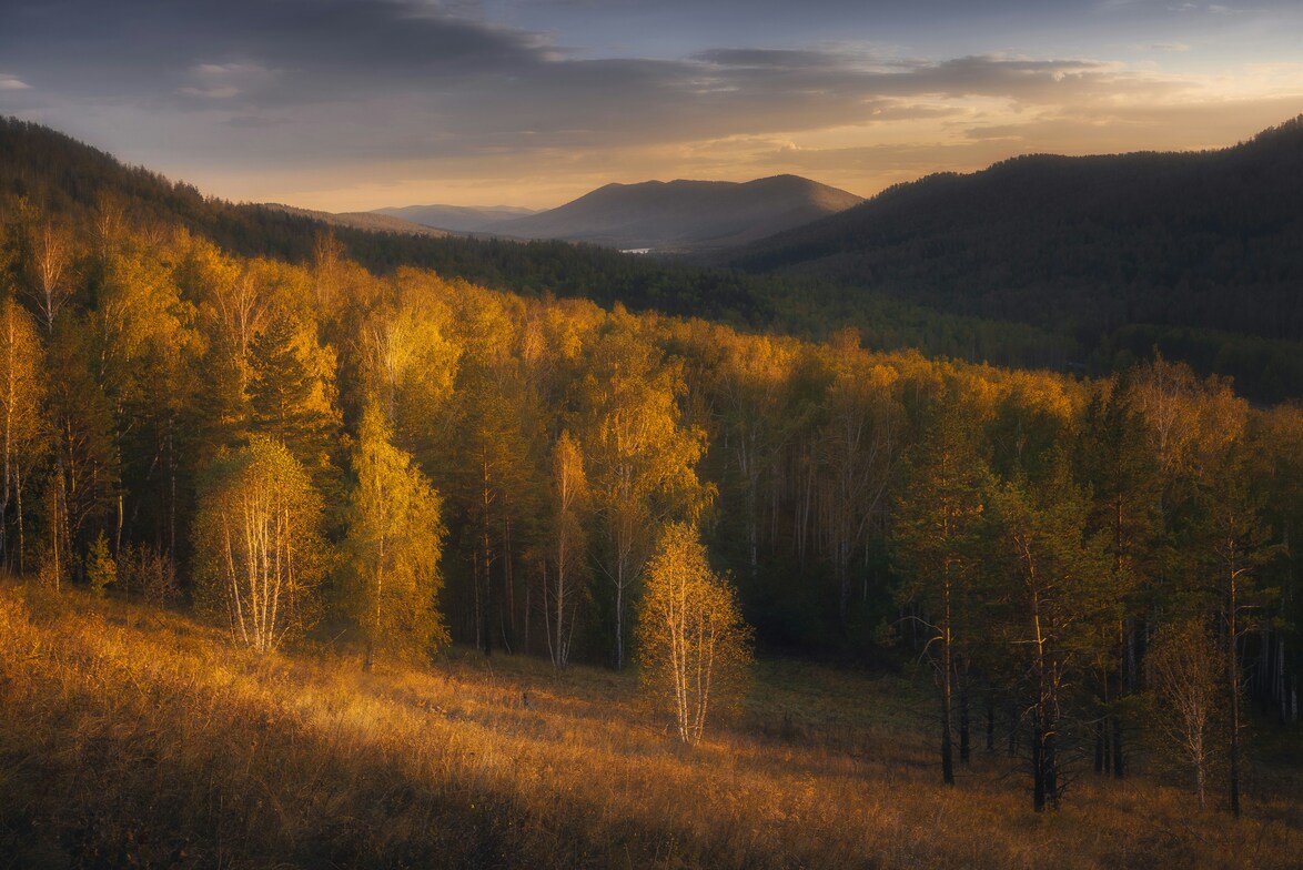 Slideshow image