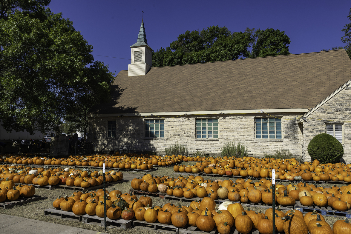 Slideshow image