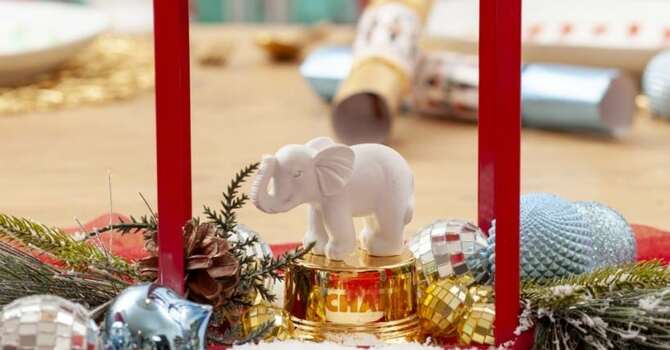 Women's White Elephant Gift Exchange