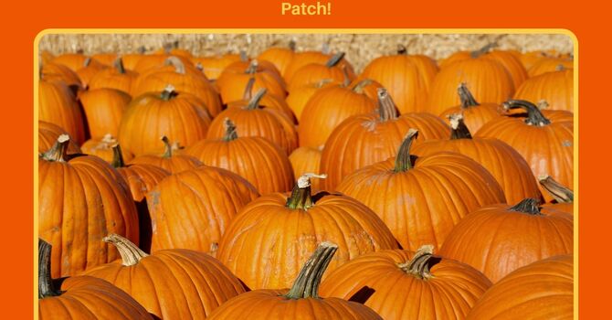Youth Group Pumpkin Patch Trip