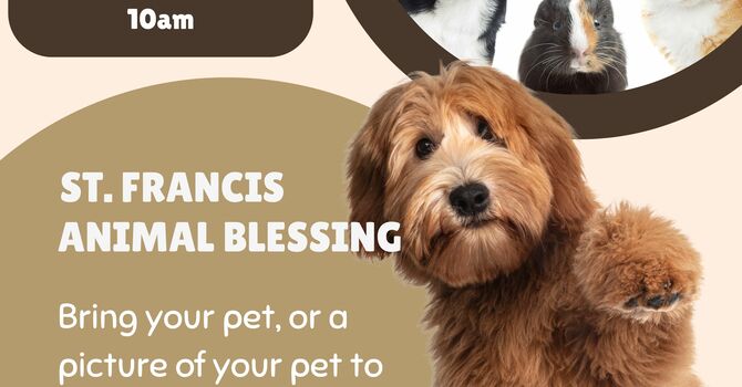 St. Francis Animal Blessing
