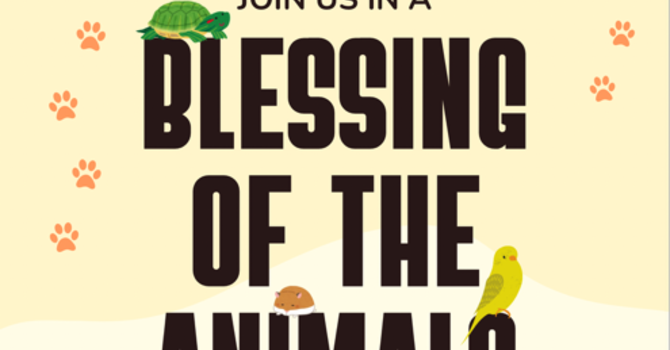 COMMUNITY BLESSING OF THE ANIMALS image
