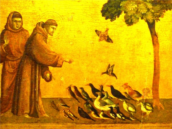 Blessing of The Animals Service