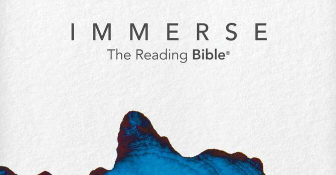 Immerse Life Group