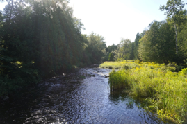 Slideshow image