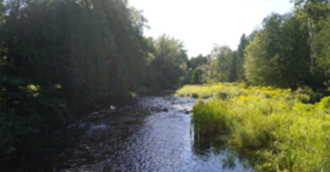 Creation Care - Living Water Sunday