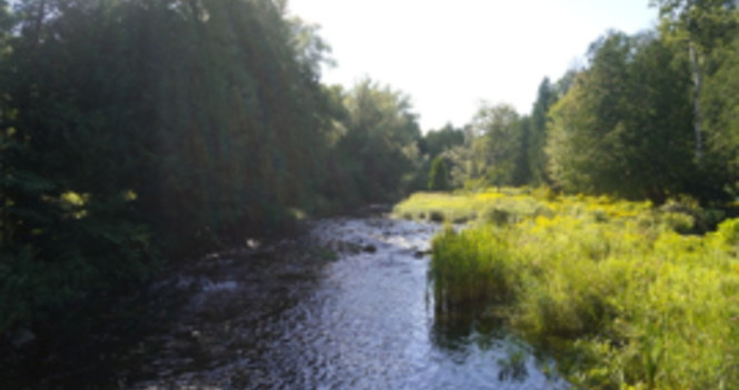 Creation Care - Living Water Sunday