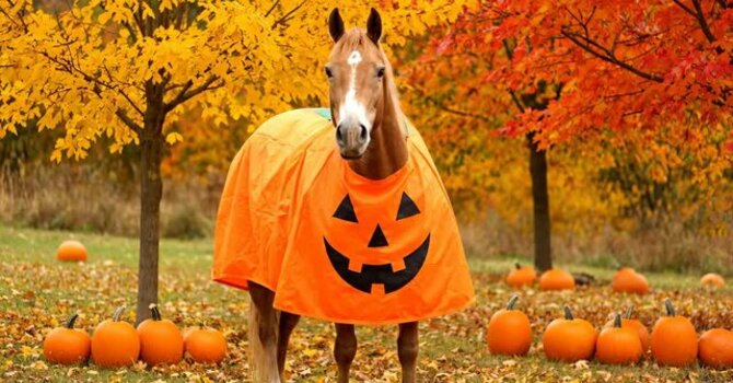 Spooky Emotions image