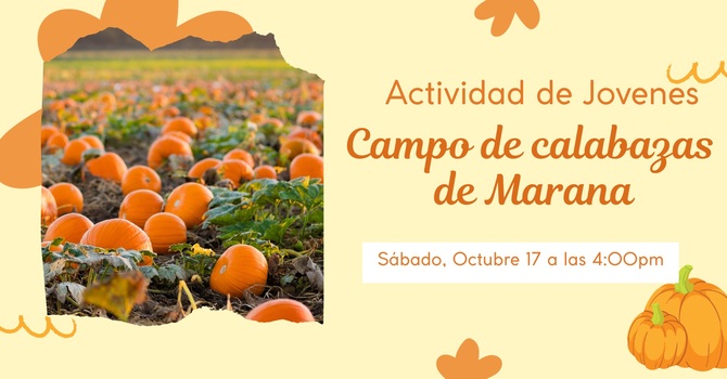Marana pumpkin patch 