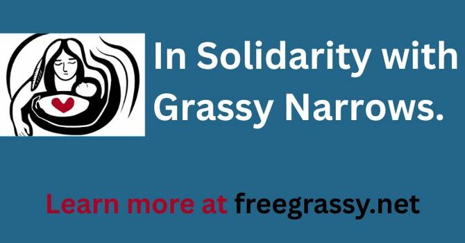 Grassy Narrows image