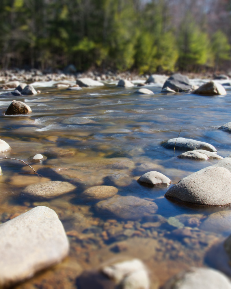 Seeing Water