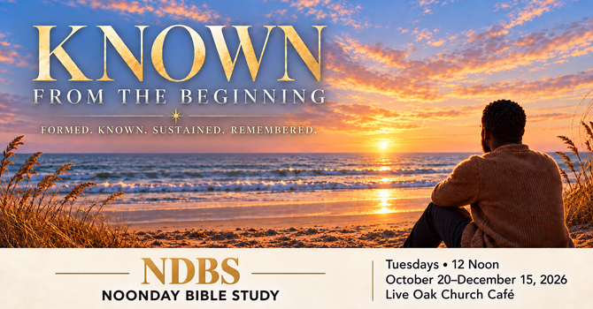 Noon Day Bible Study