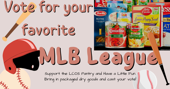 Food Pantry-Vote for your favorite MLB league