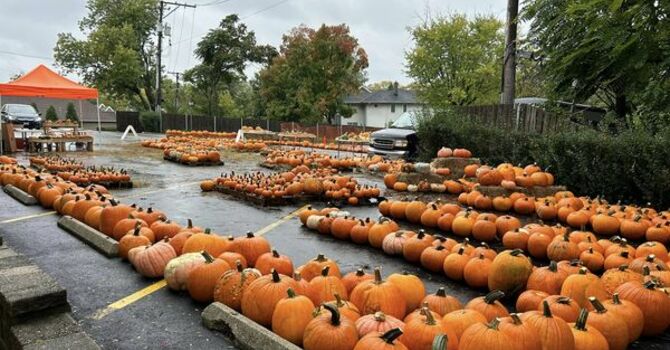Pumpkin Patch Open
