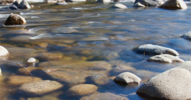 Seeing Water
