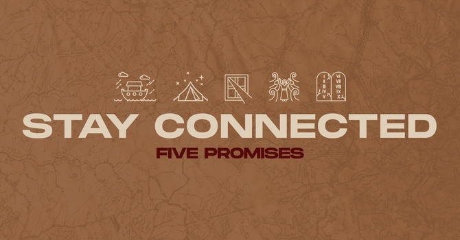 Stay Connected