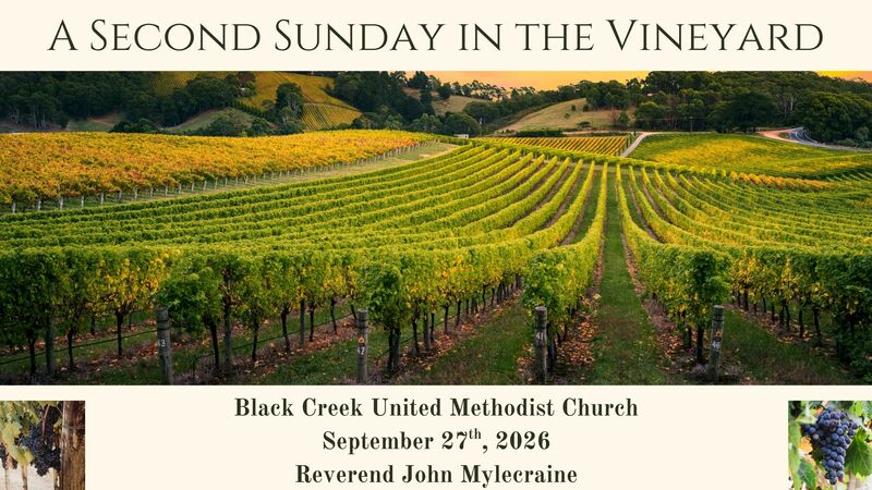 A Second Sunday in the Vineyard