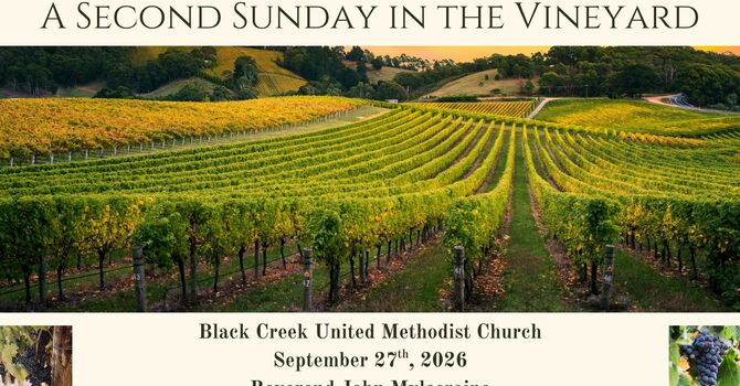 A Second Sunday in the Vineyard