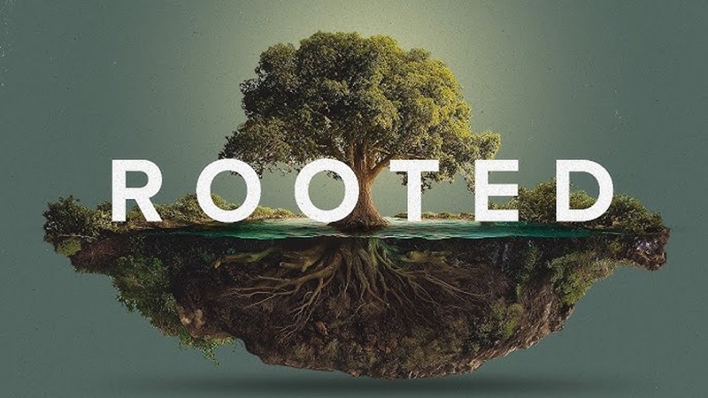 Rooted, Part 1