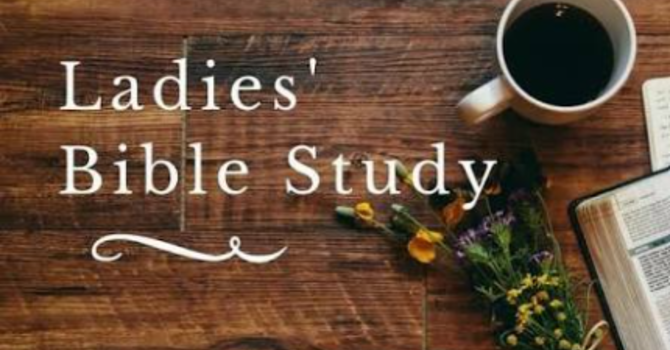 LADIES BIBLE STUDY