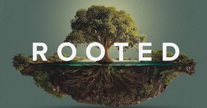 Rooted, Part 1