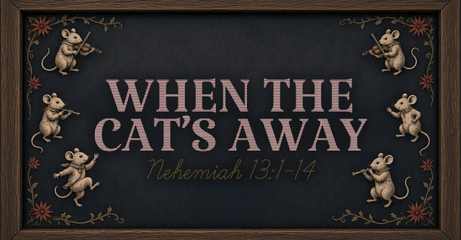 When The Cats Away