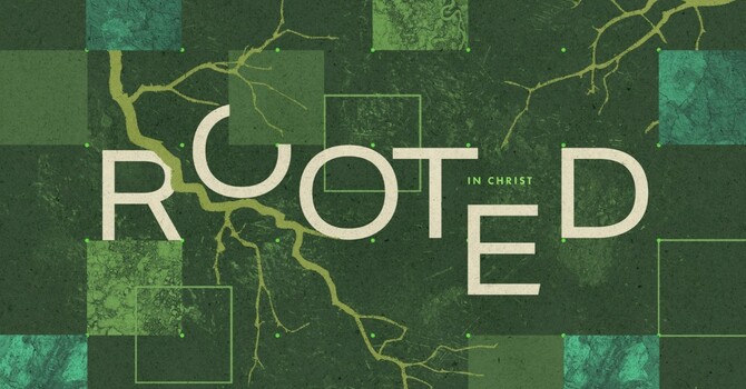 Rooted