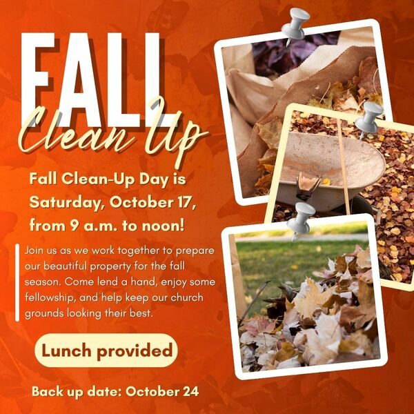Fall Clean Up