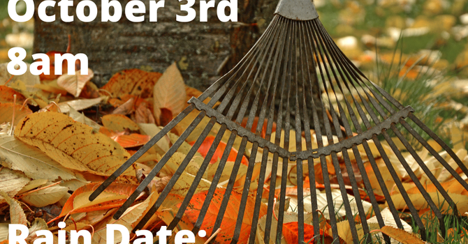 Fall Clean Up