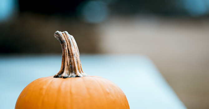 Harvest Days - Hot Chocolate and Apple Cider