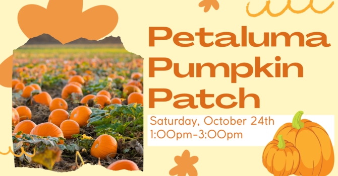 Petaluma Pumpkin Patch