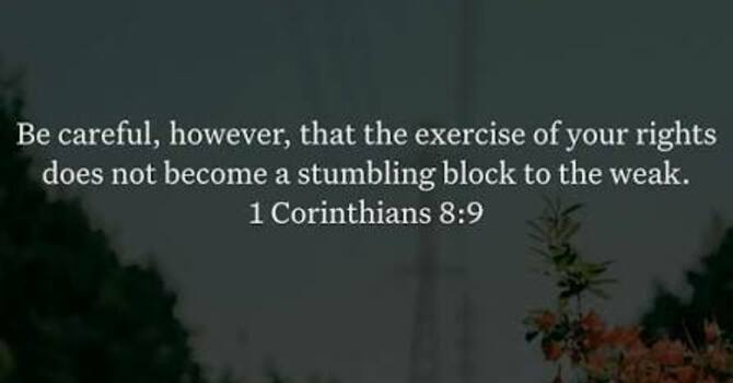 1 Corinthians 8:7-13