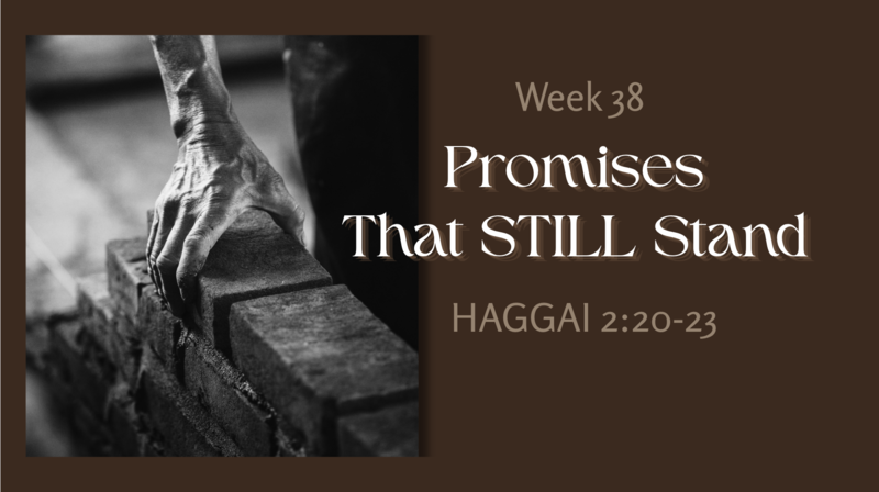 Promises That Still Stand
