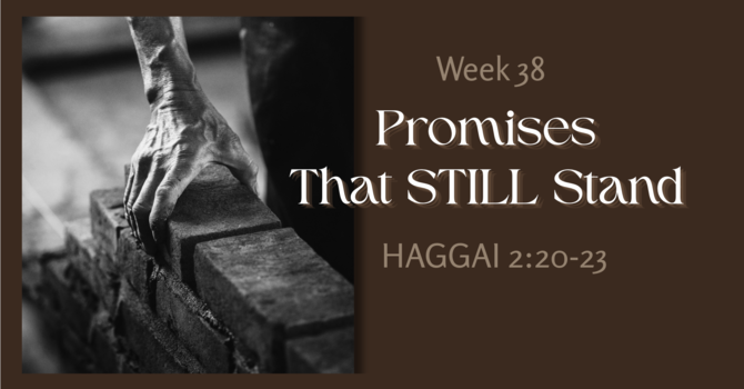 Promises That Still Stand