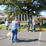 nav image